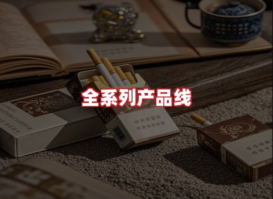 专业团队